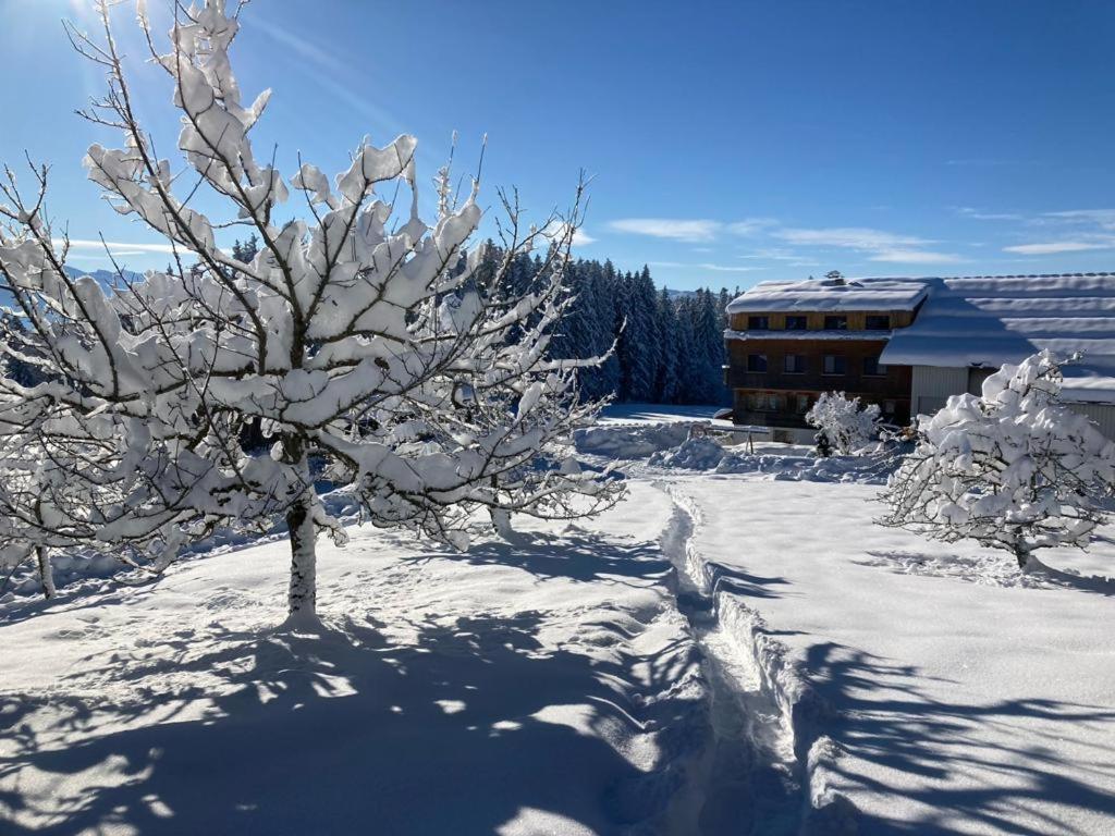 Stockreutehof Sulzberg (Bregenz) Exterior foto