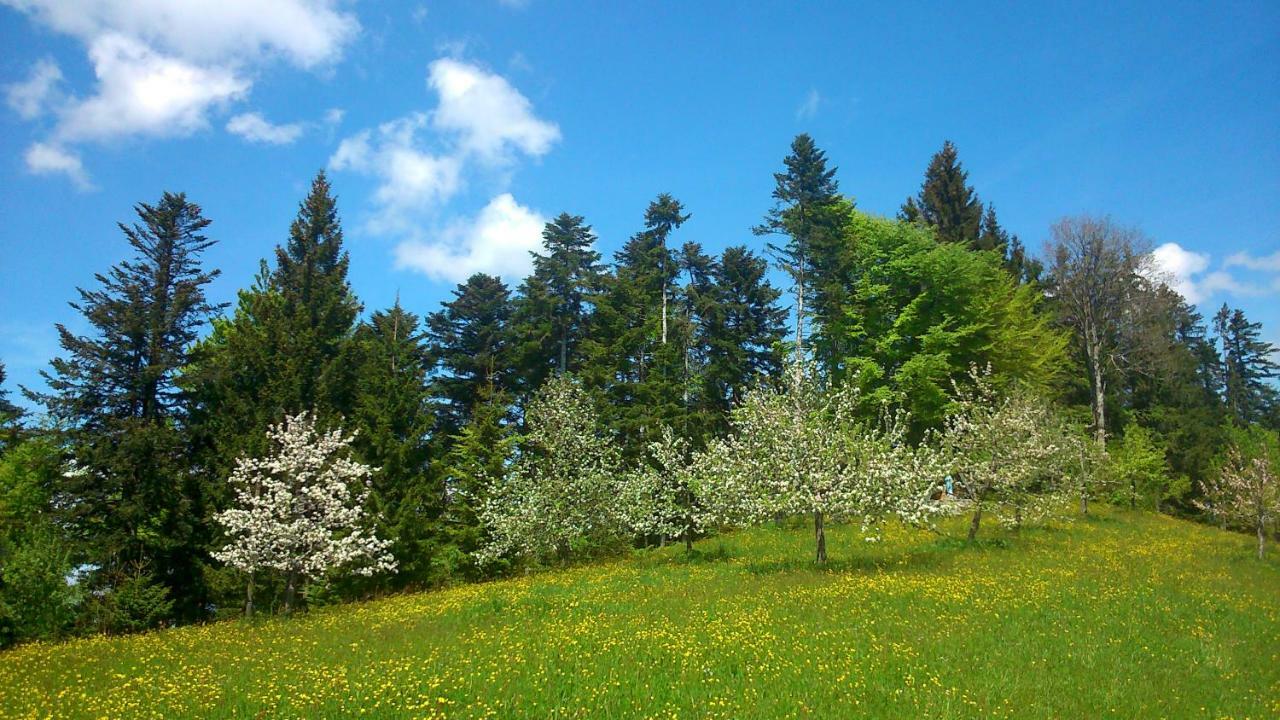 Stockreutehof Sulzberg (Bregenz) Exterior foto